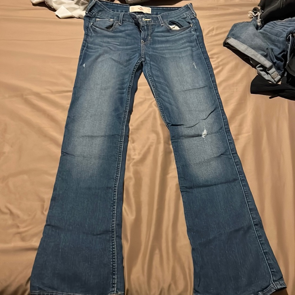 hollister bootcut jeans